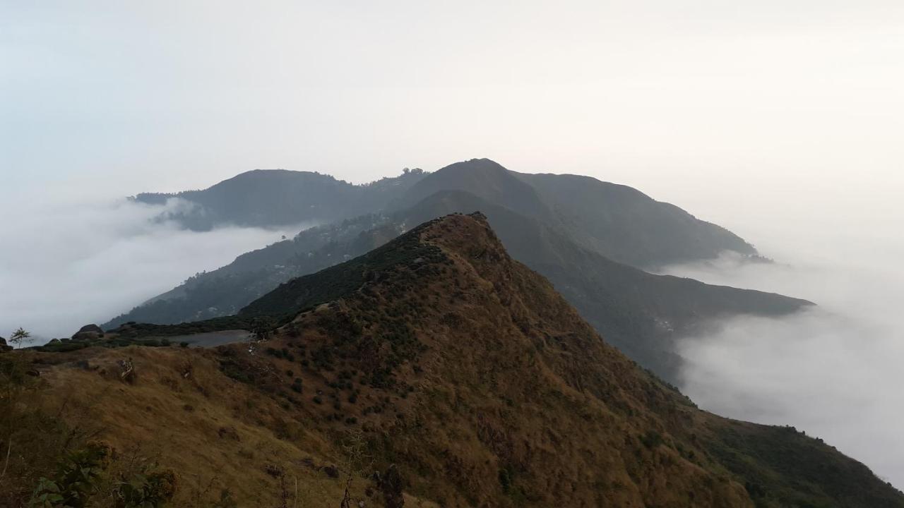 The River View Homestay Kurseong Exteriör bild