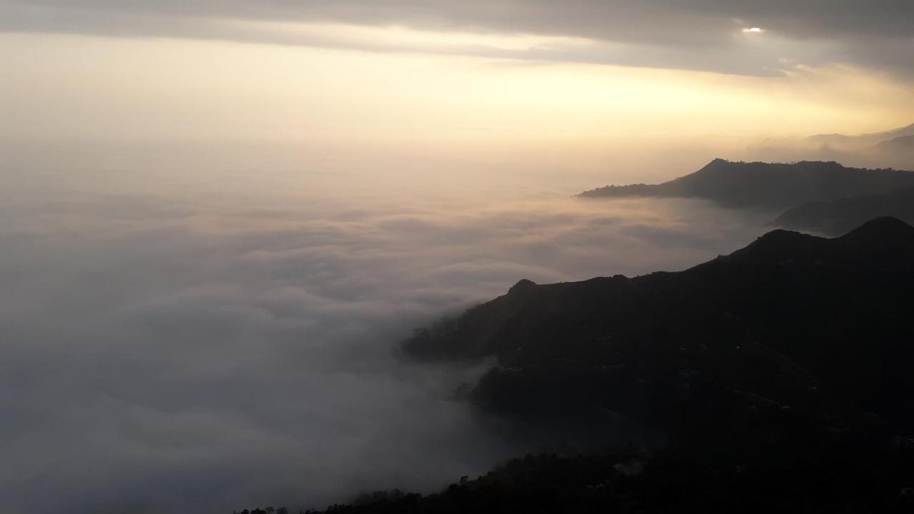 The River View Homestay Kurseong Exteriör bild